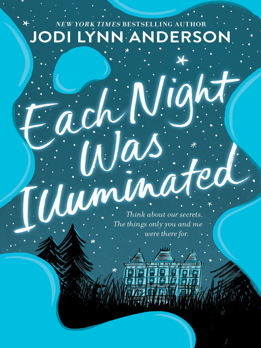 Cover image for Each Night Was Illuminated